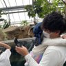 ガンと闘う親父ジョー 的头像
