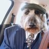 El pibe que se llama Rocco 的头像