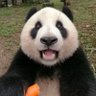 Mr. Vick's profile picture