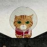 Profilbild von LeDestroyer of Worlds