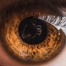 Profilbild von Loeil Du_cyclone
