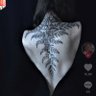Leilá Pierdoná profil fotoğrafı