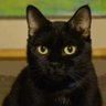 Profilbild von NaiaF-16