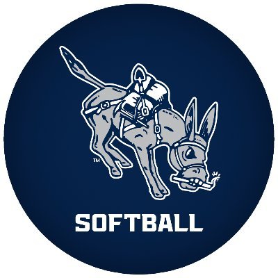 MinesSoftball's profile picture