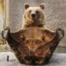Profilbild von 柴漬けオンザロック
