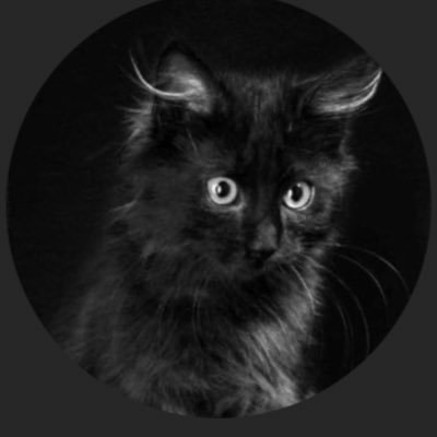 ENVERACAR's profile picture