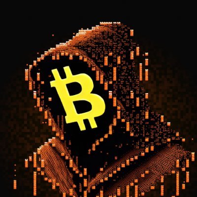 Satoshi Wizards 🔸's profile picture
