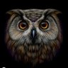 Фото профиля owl