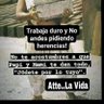 Orlando Flores's profile picture