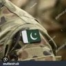 nosheen's profile picture