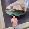 W. Alhussan's profile picture