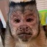 Profilbild von hrman