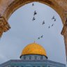 Фото профиля Bour Leyti