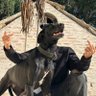 Profilbild von juanseqac