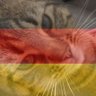Stubentiger ❤️🐈‍⬛+🐈‍⬛+🐈❤️🇩🇪🚜🤜🏻🤛🏻💙🐀's profile picture