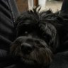 Profilbild von Brayden D
