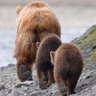 Фото профиля Arthur Doyle
