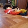 Tony Coffman (love you forever Cuddles 🌈) 🇵🇸🍉 的头像