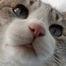 れむりる profil fotoğrafı