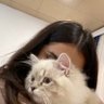 🦩🦩 profil fotoğrafı