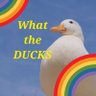 Profilbild von What The Ducks