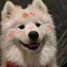 御姐的欲's profile picture