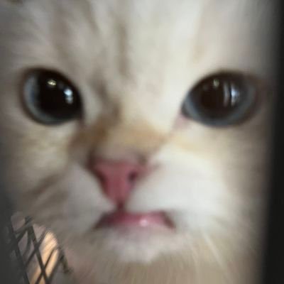 N’m's profile picture