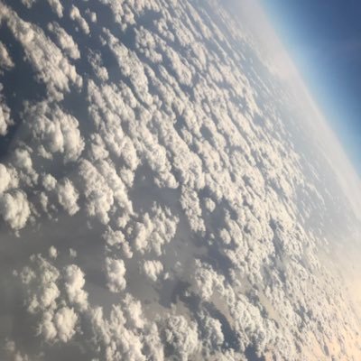 kokoro_812's profile picture