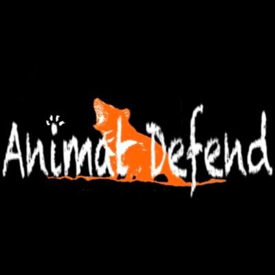 animaldefend30's profile picture