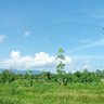 ฮาหวัด เหวิ่ง profil fotoğrafı