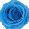 Фото профиля Blue_bir_d 🕊𓈒𓏸