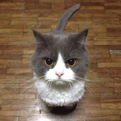 hizkuFPS's profile picture