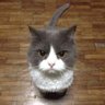 hizku's profile picture