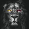 💛❤🇸🇪🇸🇪's profile picture