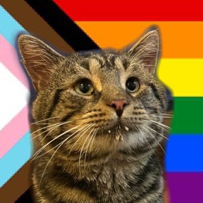 Fishtopher and Friends's profile picture
