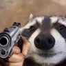 Raccoon Man profil fotoğrafı