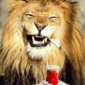 GalaAslan's profile picture