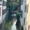 Evrim Yueksel profil fotoğrafı