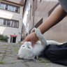 اي profil fotoğrafı