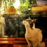Фото профиля marcoarsenal88
