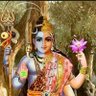 Profilbild von रोहित सनातनी