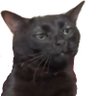 Profilbild von Bekiro