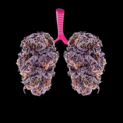 snoopdoggslungz's profile picture