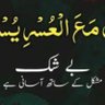 Rukhsana Naveed 的头像