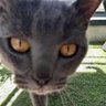 Jéjé's profile picture