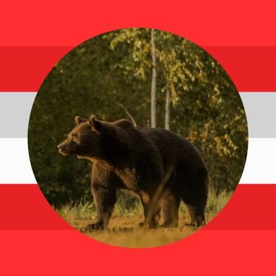alterdonauwels's profile picture