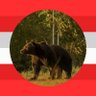 Alter Donauwels profil fotoğrafı