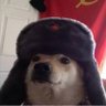 Ravanga's profile picture