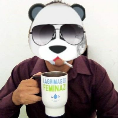 PandaVerga de Alto Valor's profile picture