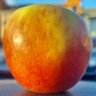 Cala San Vicente's profile picture